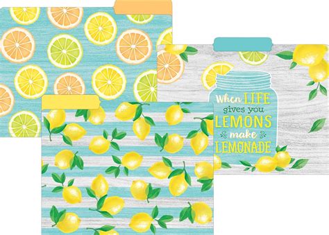 Buy Teacher Created Resources Lemon Zest File Folders, Model: TCR8542 ...