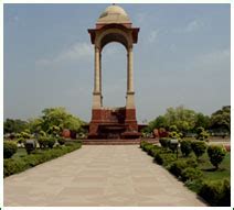 Earth Green Solution