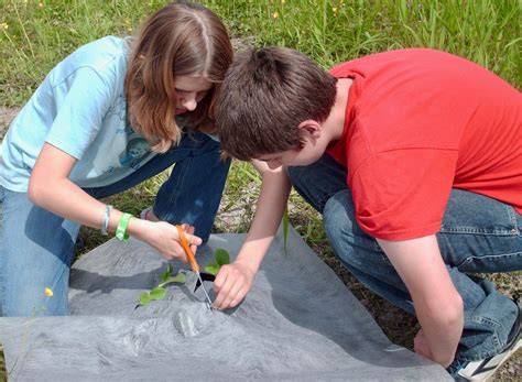 Image result for Project-Based Learning Math Ideas