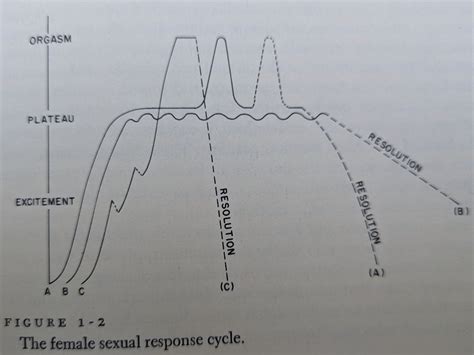 Human Sexual Response - Summary Section 1 — Science, Sex, and the Ladies