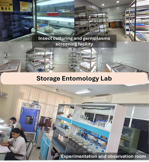 Indian Institute of Pulses Research