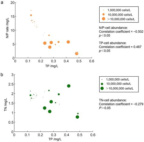 The Spatial Evolution Characteristics of Phytoplankton and the Impact ...