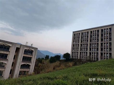 重庆市人民政府外事办公室挂牌_市政府