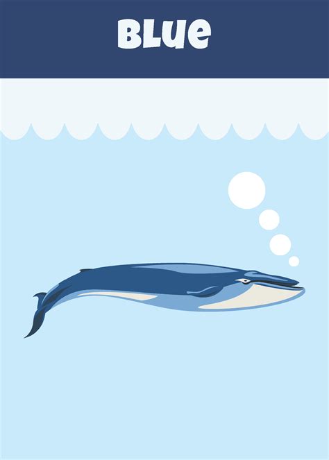 Color Names Flashcard in PowerPoint, Google Docs, Google Slides, Word ...