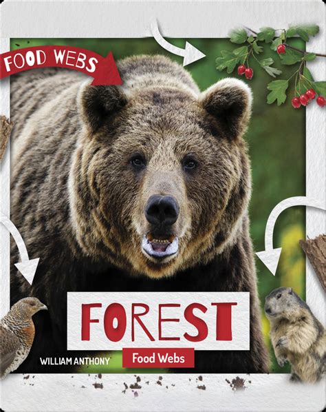 Forest Food Webs Book by William Anthony | Epic