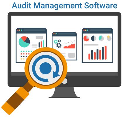 Image result for Data Management Audit Program