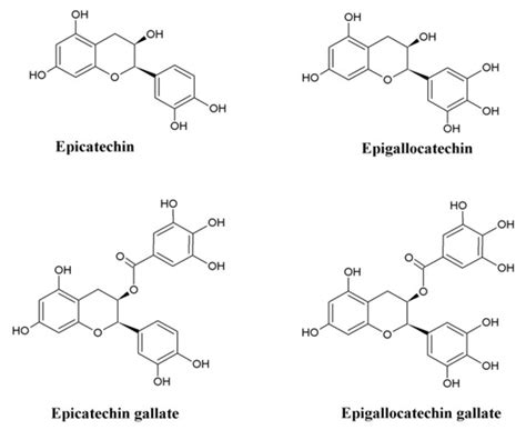 Neuroprotective Properties of Green Tea (Camellia sinensis) in ...