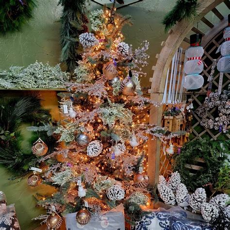 The Flower Bin – Nursery | Longmont, CO