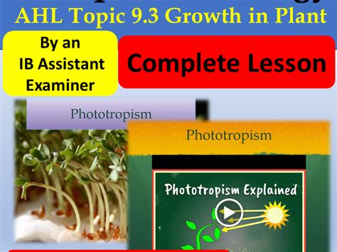 Biology Plants 的图像结果