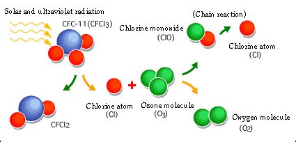 Download: Ozone Depletion Biology Investigatory Project PDF Class 12