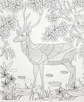 Colouring Book for Adults Animals and Birds – Books and You