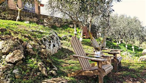 AMODEO'S FARM - OLIVE OIL PRODUCERS IN SICILY - All You Need to Know ...