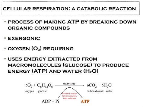 Example of a Classical Biotechnology Process 的图像结果