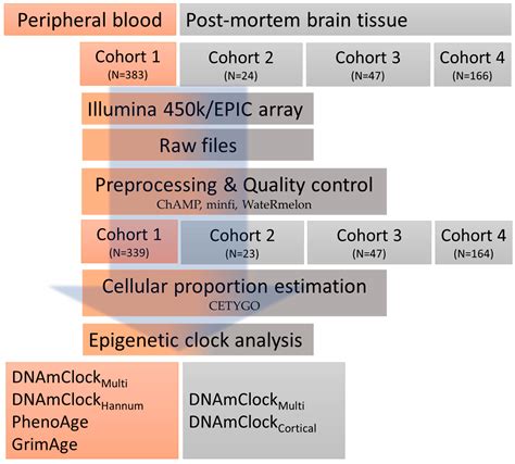 Epigenetic Age Acceleration in Frontotemporal Lobar Degeneration: A ...
