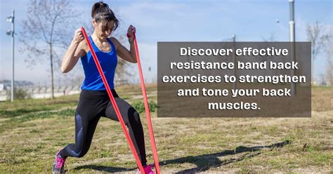 Exercises for Lower Back Using Resistance Bands 的图像结果