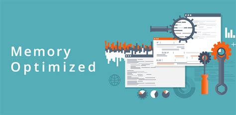 Memory Optimization 的图像结果