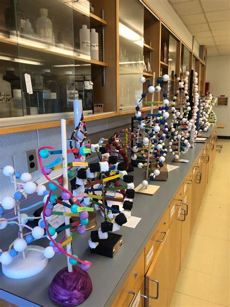 DNA Model Project 的图像结果