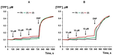 Effect of Fusidic Acid and Some Nitrogen-Containing Derivatives on ...