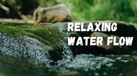 Image result for Water Stream Relaxation
