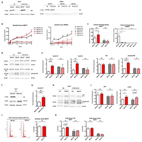 Pro-Apoptotic and Anti-Invasive Properties Underscore the Tumor ...