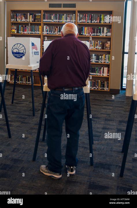 Image result for Voting