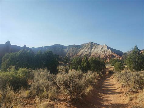 Loop Trail 的图像结果