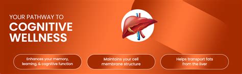 Healthvit Choline Hydrogen Tartrate 250mg & Inositol 250 Mg | Energy ...