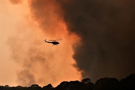 Australian bushfires hit coal output, hazardous conditions to return ...