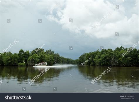 Swamp Tour 的图像结果