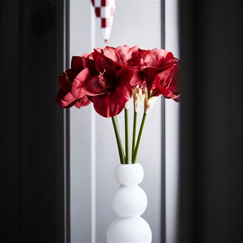 VINTERFINT artificial flower, in/outdoor Amaryllis/red, 60 cm (23 ½ ...