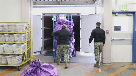 Image result for Outgoing Mail Post Office