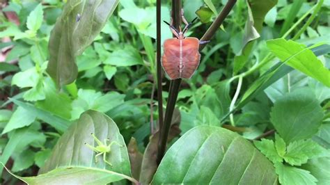 Image result for HTML Node.js