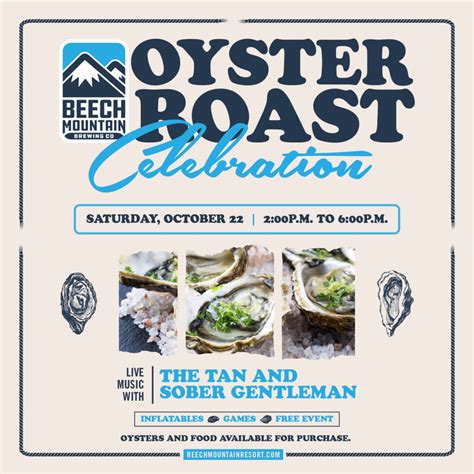 Beech Mountain Webcams