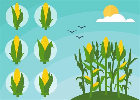 Corn Field Vector 的图像结果