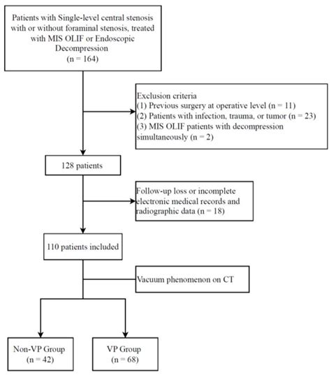 Impact of the Disc Vacuum Phenomenon on Surgical Outcomes in Lumbar Spinal Stenosis: A ...