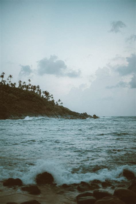 Earth No Background 的图像结果