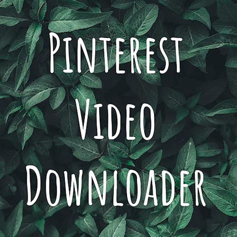 Pinterest Video Downloader : Pinterest Video Downloader: Amazon.in ...
