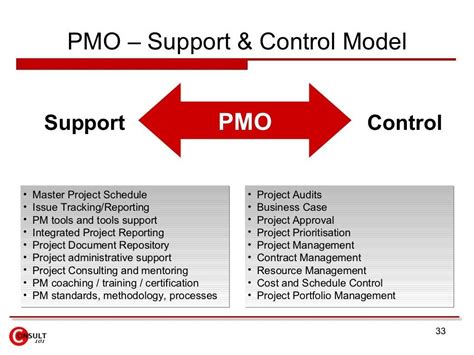 Image result for Program Management Office PMO