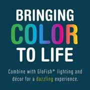 Buy GloFish Mini Yellow And Green Anemone Aquarium Ornaments, 2 Plants ...