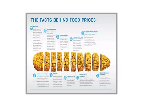 Image result for Data Sorted Visually Data Explained with a Story