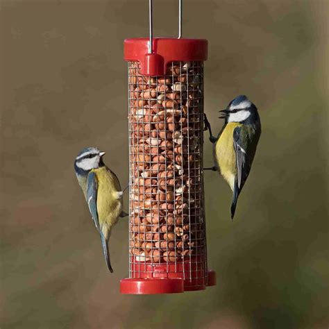 Peanut Feeders from Living with Birds