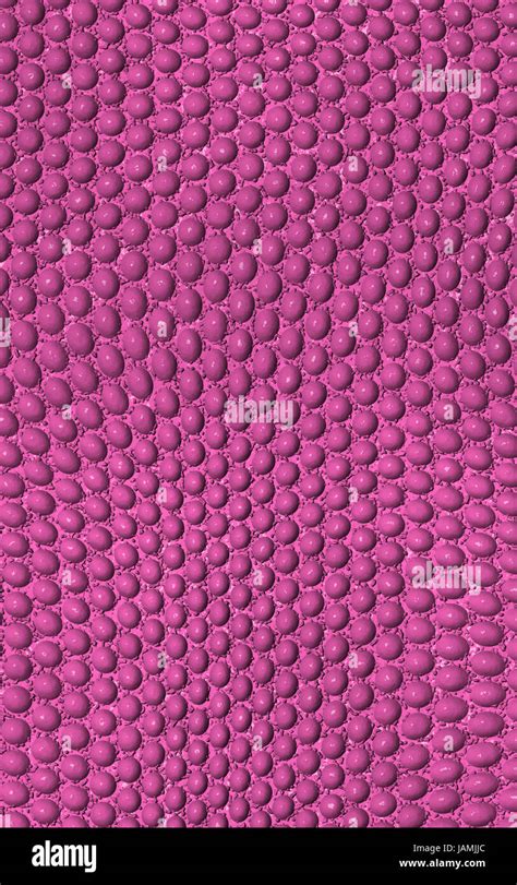 Image result for Pink Python Skin