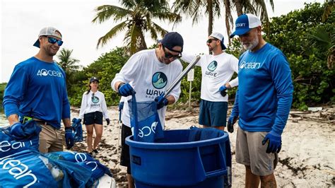 How to Use Wave Browser 的图像结果