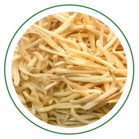 Buy Safed Musli Online – Unlock Safed Musli Benefits – Herbal Hills ...