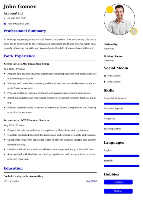 Accountant Resume Examples India