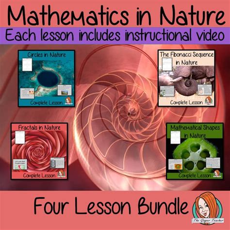 MATHEMATICS in NATURE LESSON Bundle - 4 Complete Lessons on Fractals ...