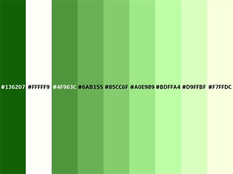 Royal green color (Hex 136207)