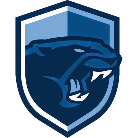 Franklin Panthers Boys Basketball (Franklin, MA) - High School On SI