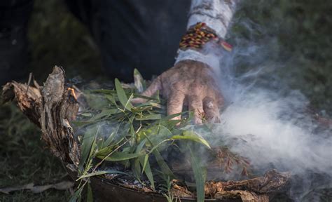 Aboriginal healer | Article for senior travellers - Odyssey Traveller