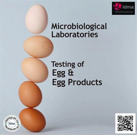 Food Testing Laboratory Services - Complementary Foods Testing ...